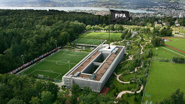 Fifa Nation